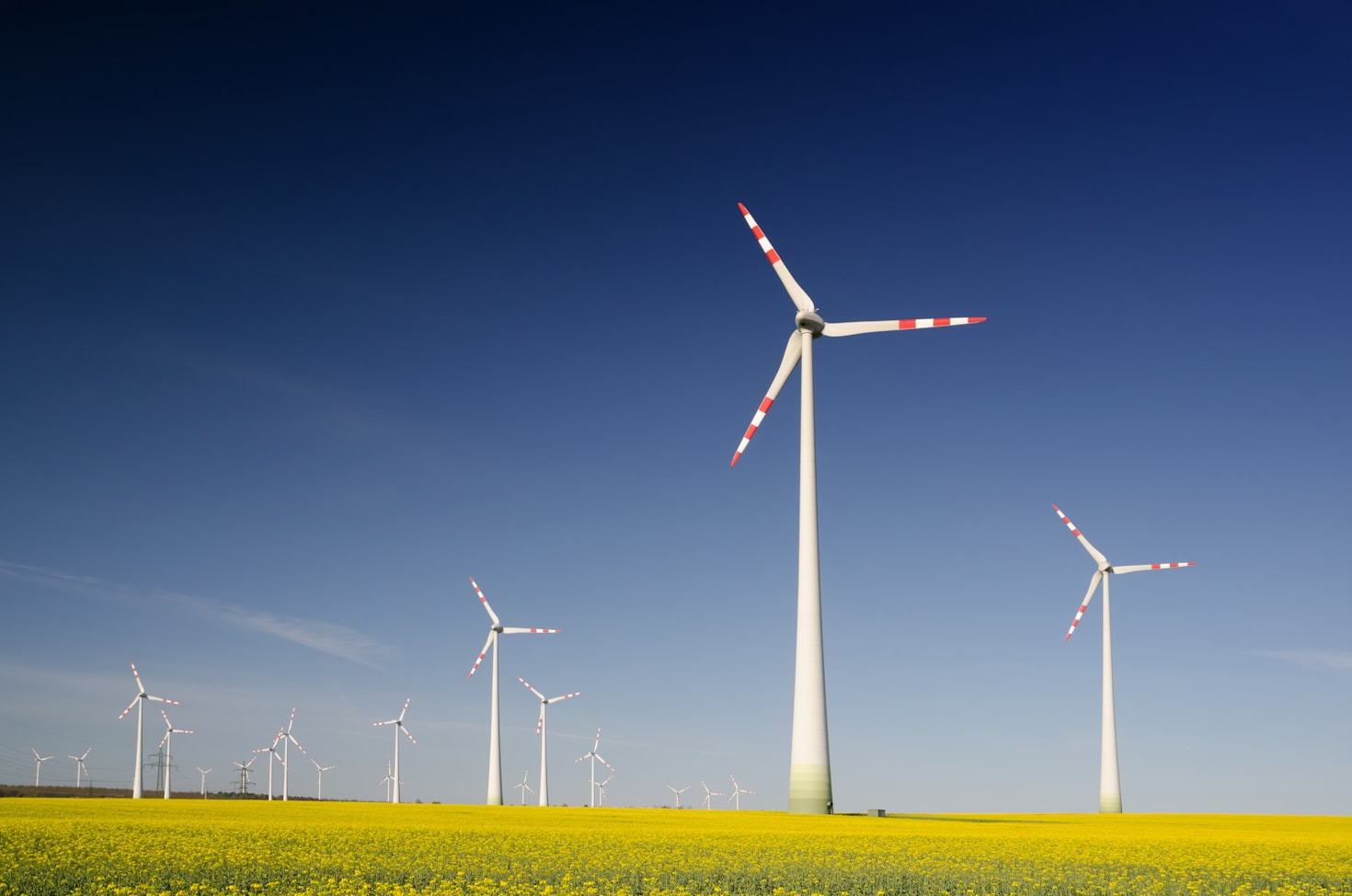 10 Simple Tips for a More Sustainable Lifestyle