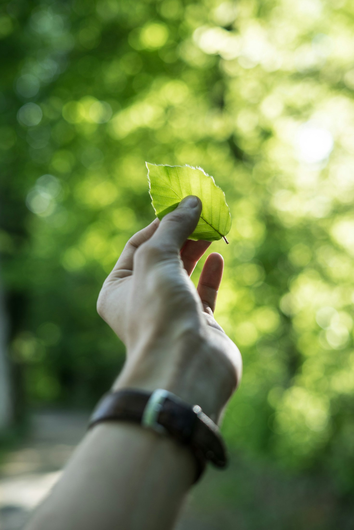 How to Incorporate Green Habits into Daily Life