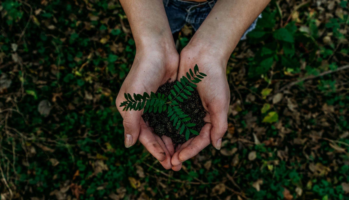 The Importance of Environmental Awareness Today