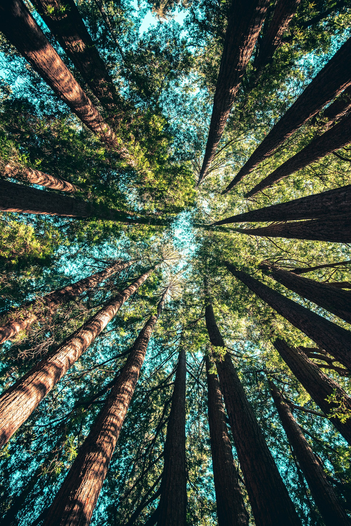 Top Green Tech Innovations Transforming the World