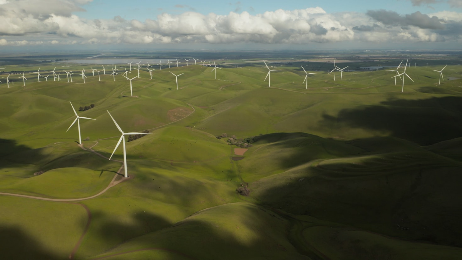 Practical Guides to Reducing Your Carbon Footprint